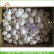 Jinxiang 10Kg Carton Fresh White White Garlic For Tunisia